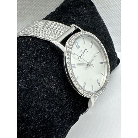 Skagen Denmark SKW2284 Women\'s Silver Stainless Steel Mesh Analog Watch AEA283